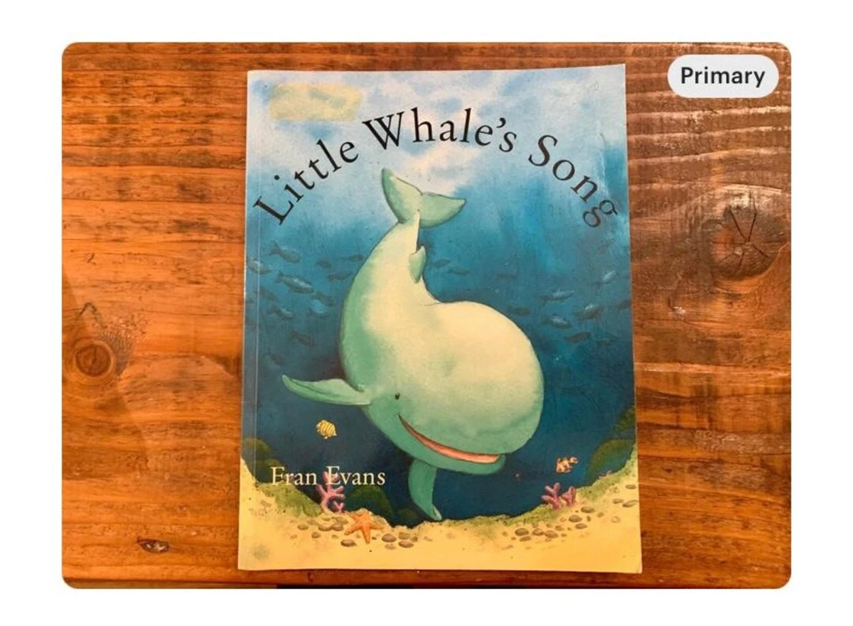 Descubren canto de ballena de 1940: una ventana al silencio del océano - image 1