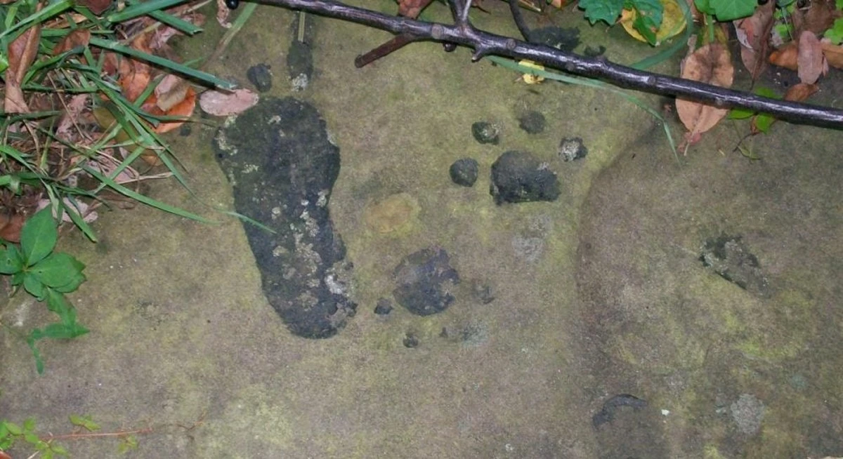 Un enigma en Ohio: 1000 años de huellas inexplicables en una roca milenaria