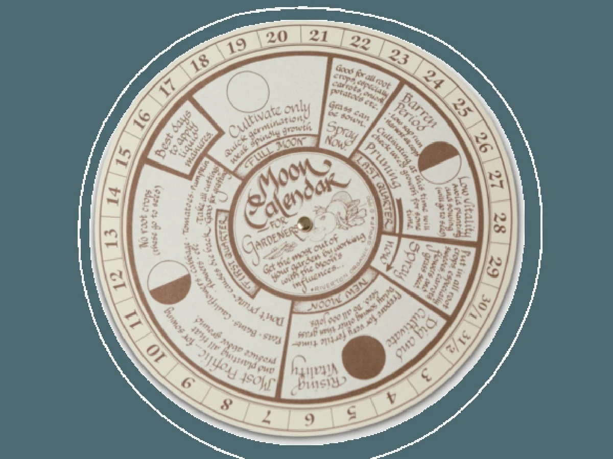 Siembra de pimientos en 2026: Las fases lunares clave para una cosecha récord - image 1