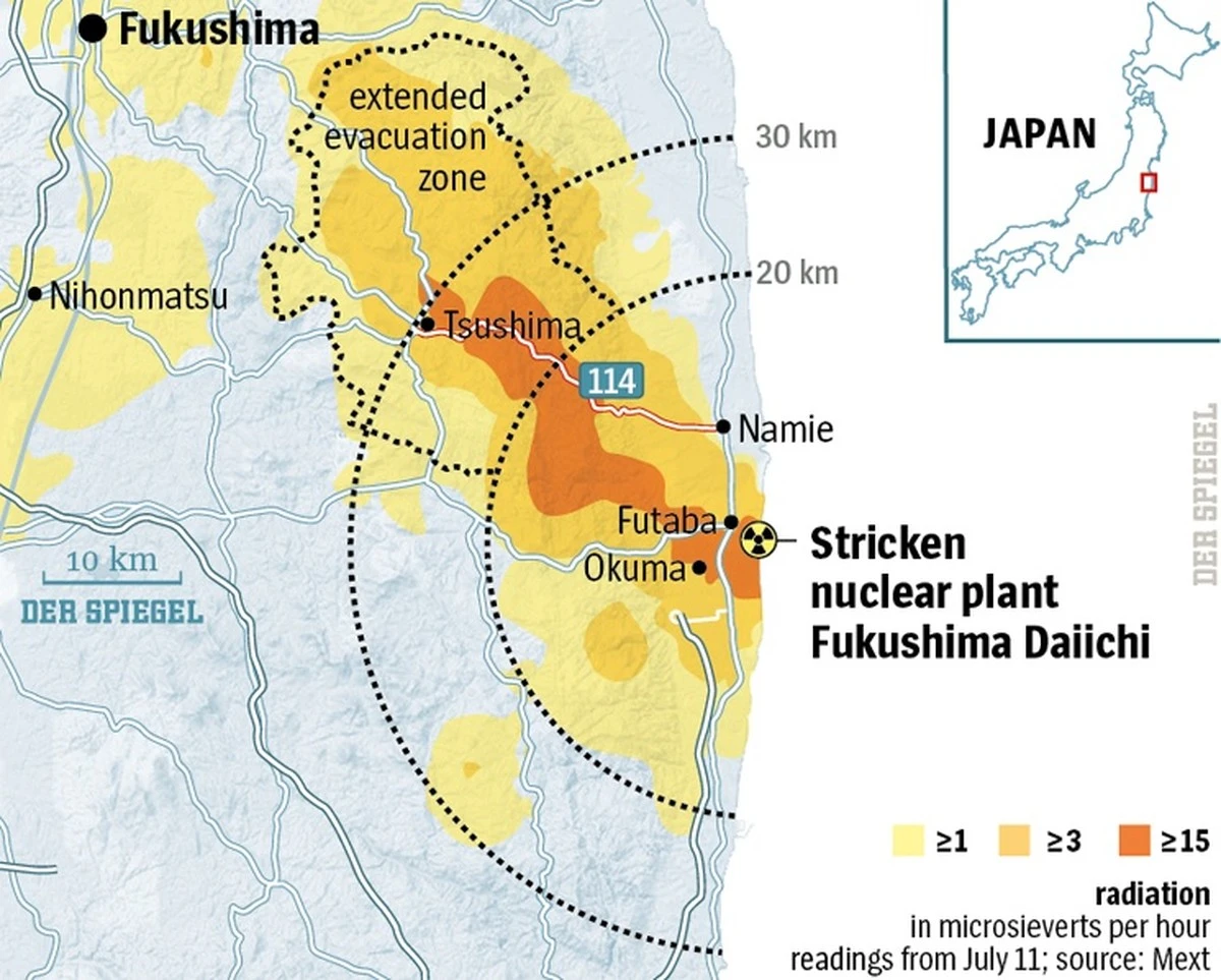 Fukushima: por qué los híbridos de cerdo y jabalí prosperan en la zona de exclusión - image 1