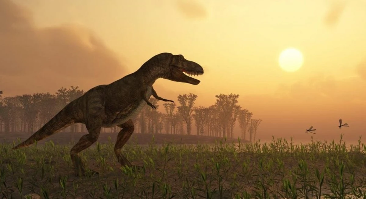 Australia revela secretos prehistóricos: descubren una extensa colección de huellas de dinosaurios