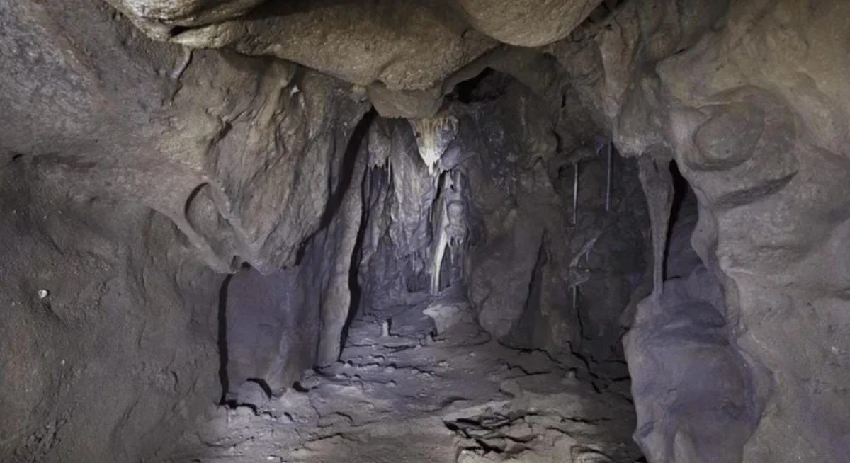 La misteriosa cámara oculta en Gibraltar que revela la sorprendente inteligencia neandertal