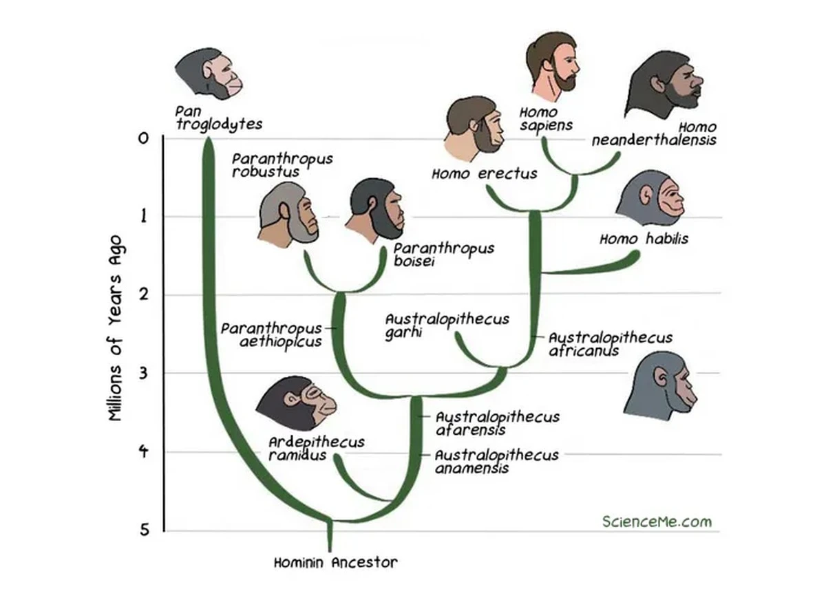 El origen del lenguaje: ¿Cuándo empezaron a hablar los humanos? - image 1