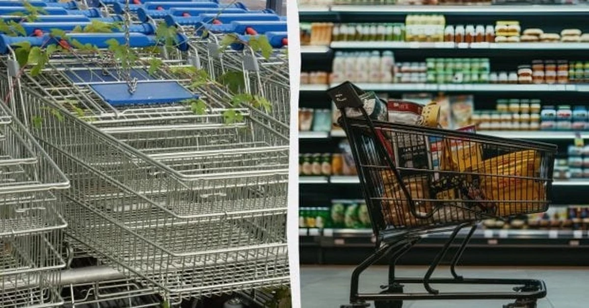 El carrito de supermercado: la prueba de oro de tu decencia