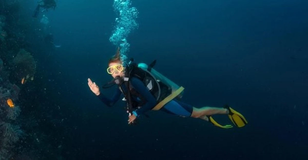 El insólito hallazgo en Japón: animales con tentáculos alrededor de la boca desconciertan a científicos