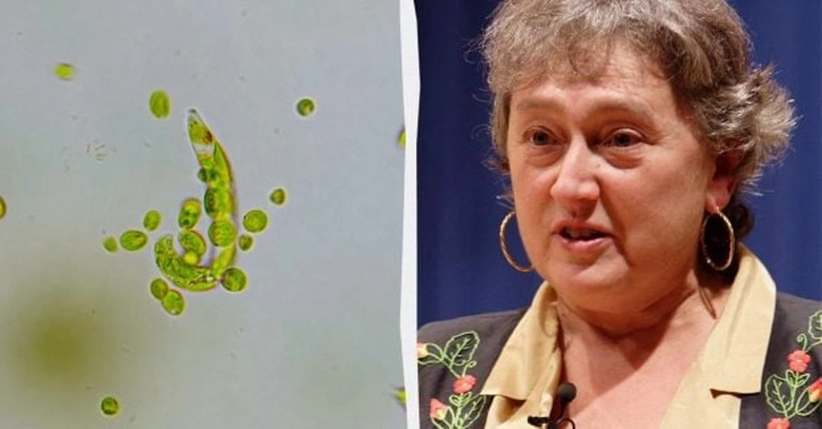 Lynn Margulis: la científica "rara" que cambió nuestra visión de la vida