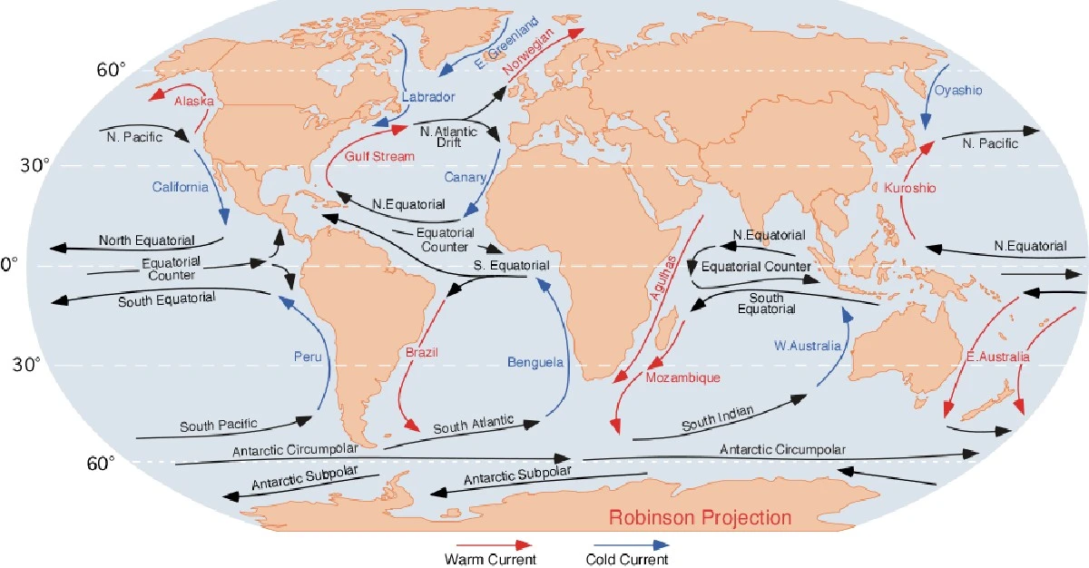 porqueelgolfode-extra-1.webp Por qué el Golfo de México está cambiando: ¿El preludio de un colapso climático? - image 1