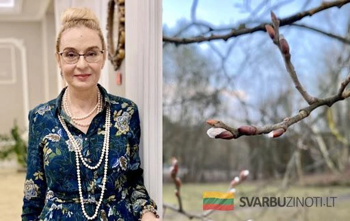 Horóscopo KOVO 2026: La suerte y el éxito aguardan según Palmira Kelertienė