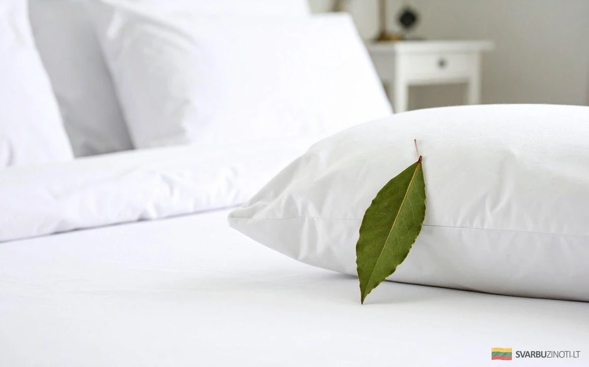 Unas hojas de laurel bajo tu almohada, el secreto ancestral para un sueño reparador