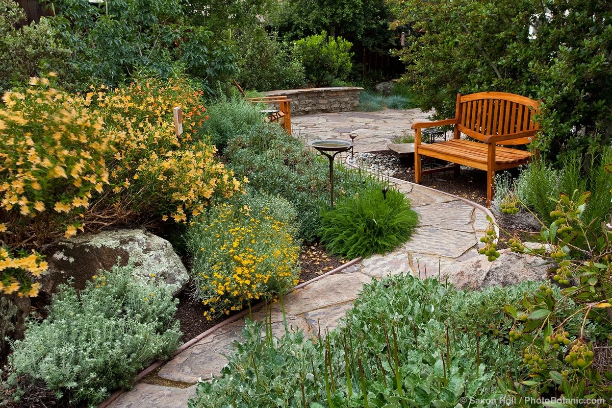 5 herbáceas autóctonas que transformarán tu jardín en un oasis sin esfuerzo - image 1