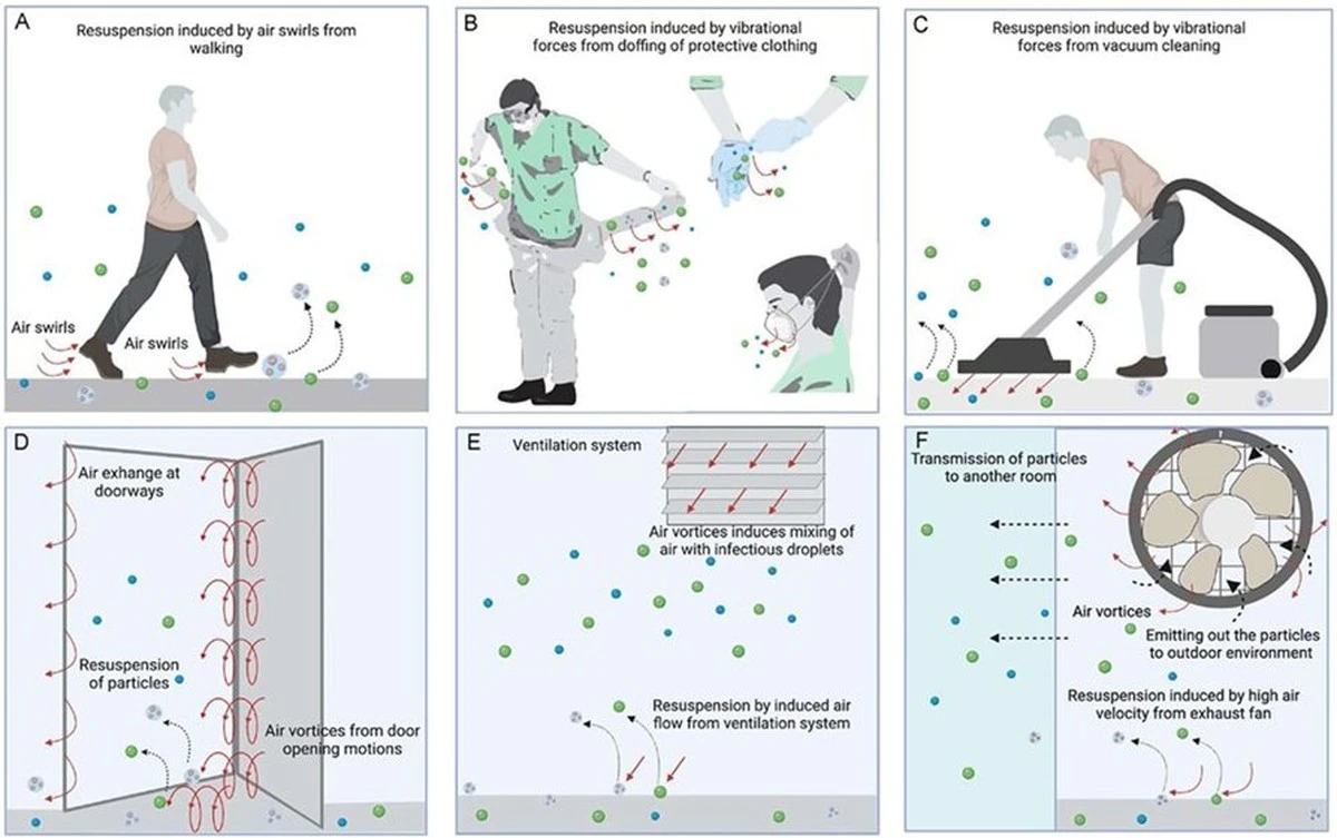 Tu casa es un caldo de cultivo: cuánto tiempo viven los virus en las superficies - image 1