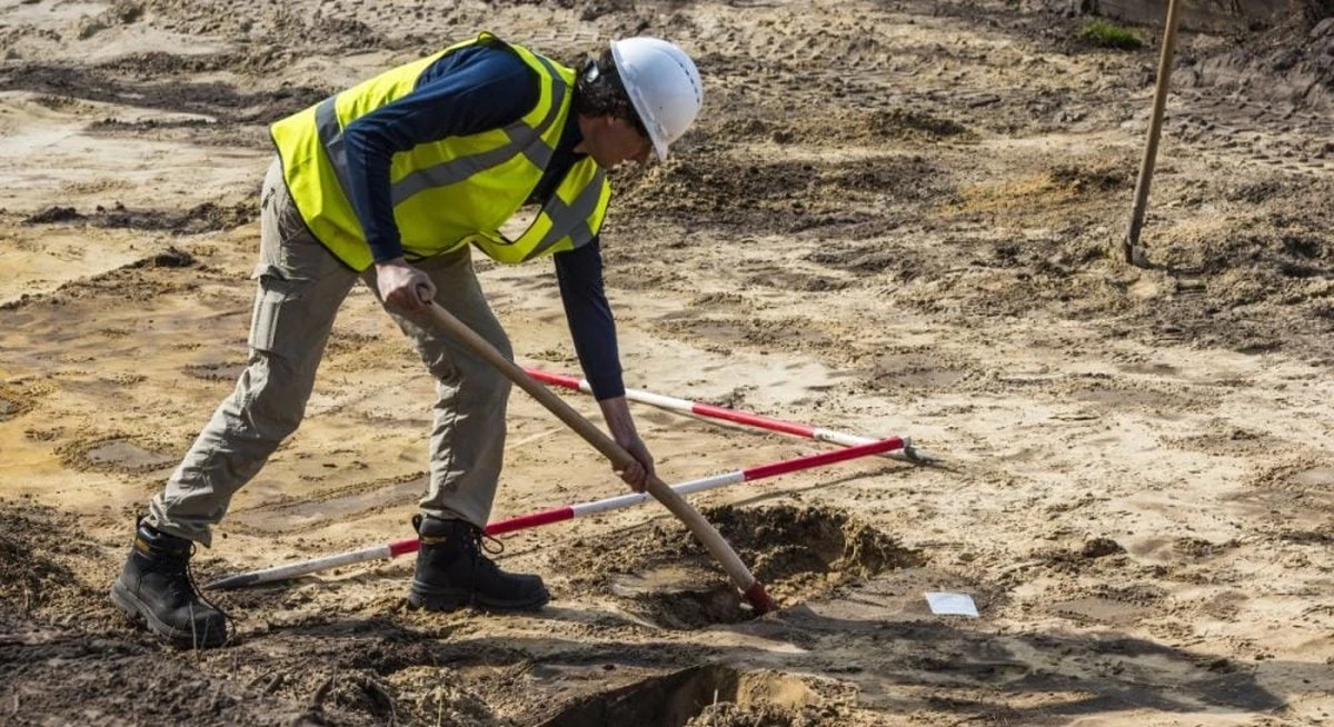 Descubren en China resto de un titanosaurio gigante que vivió hace 147 millones de años