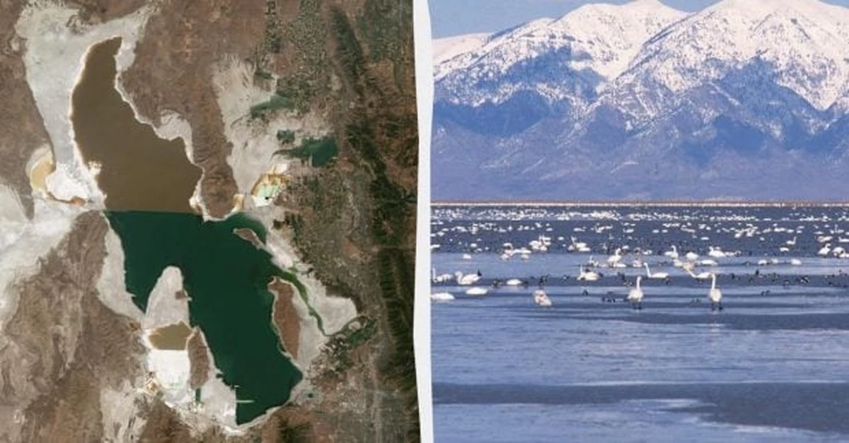 Científicos hallan vida donde parecía imposible: criaturas nunca antes vistas en la Tierra