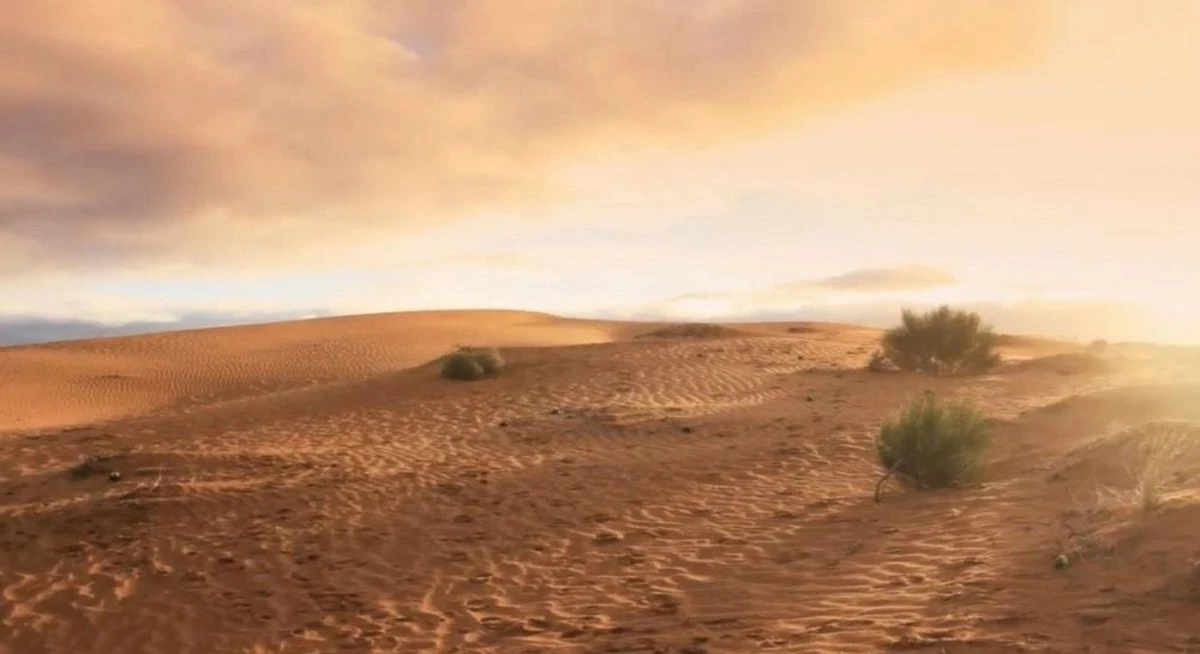 Huellas humanas de 120.000 años en el desierto: el hallazgo que desconcertó a los científicos