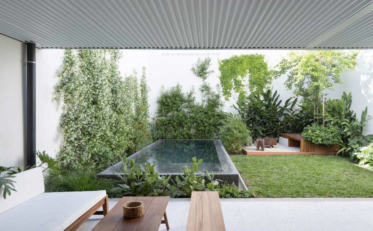 3 plantas que están arruinando tu jardín (y el laurel cerezo está entre ellas) - image 1