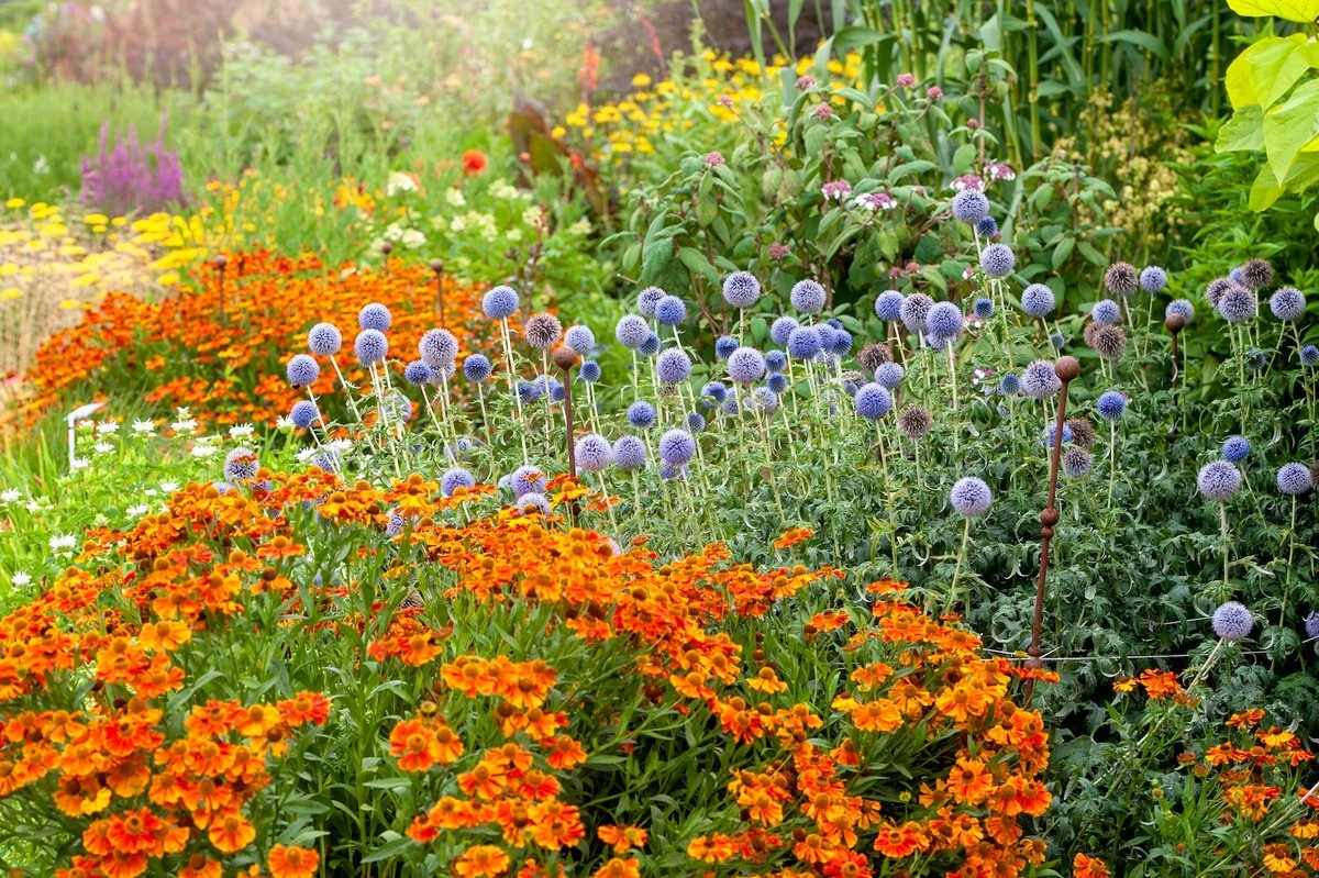 3 plantas que están arruinando tu jardín (y una es la más popular) - image 1