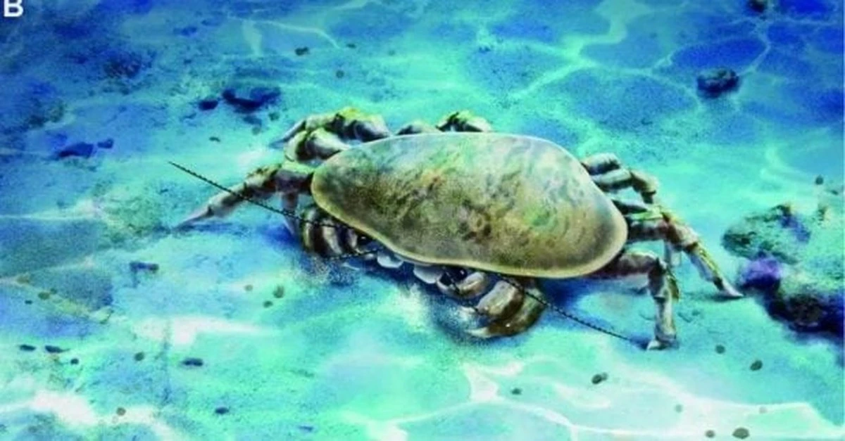 Descubren fósil rarísimo: cuerpo casi intacto y mandíbulas letales de hace 251 millones de años