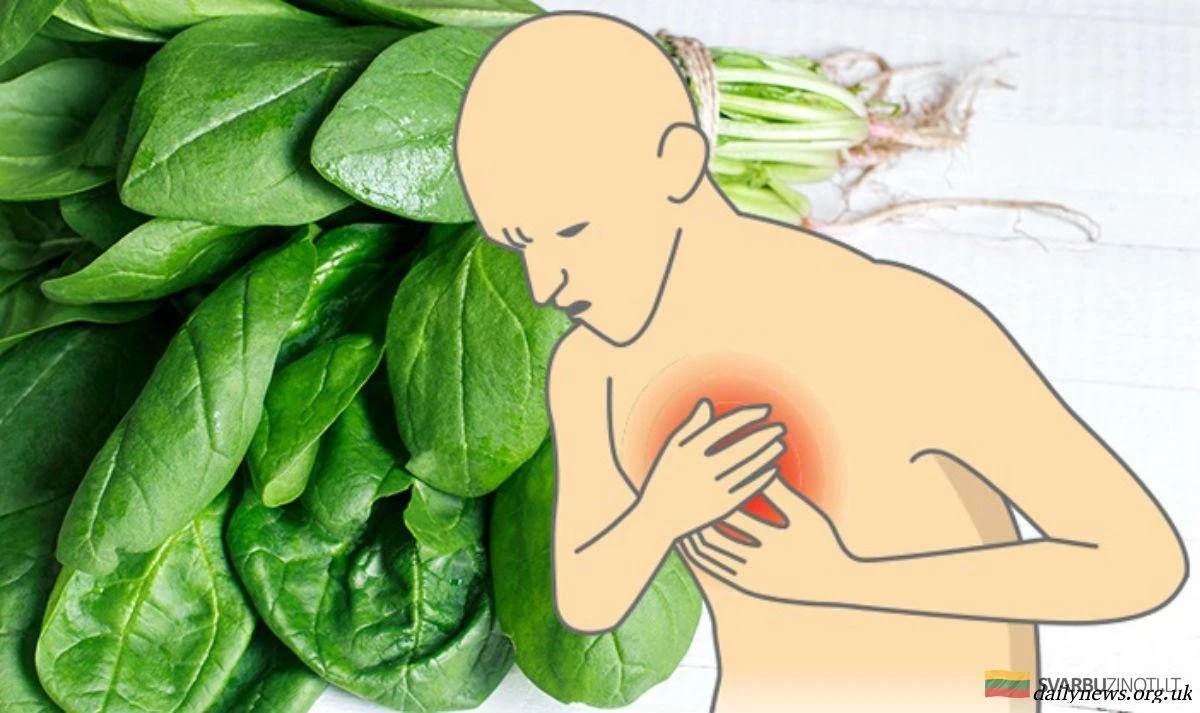 17 alimentos ricos en magnesio para blindar tu corazón y tu mente de la ansiedad