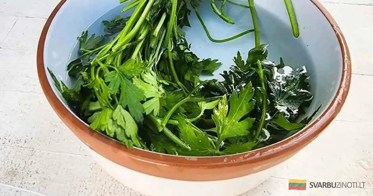 Perejil fresco todo el mes: el truco de cocina que te cambiará la vida