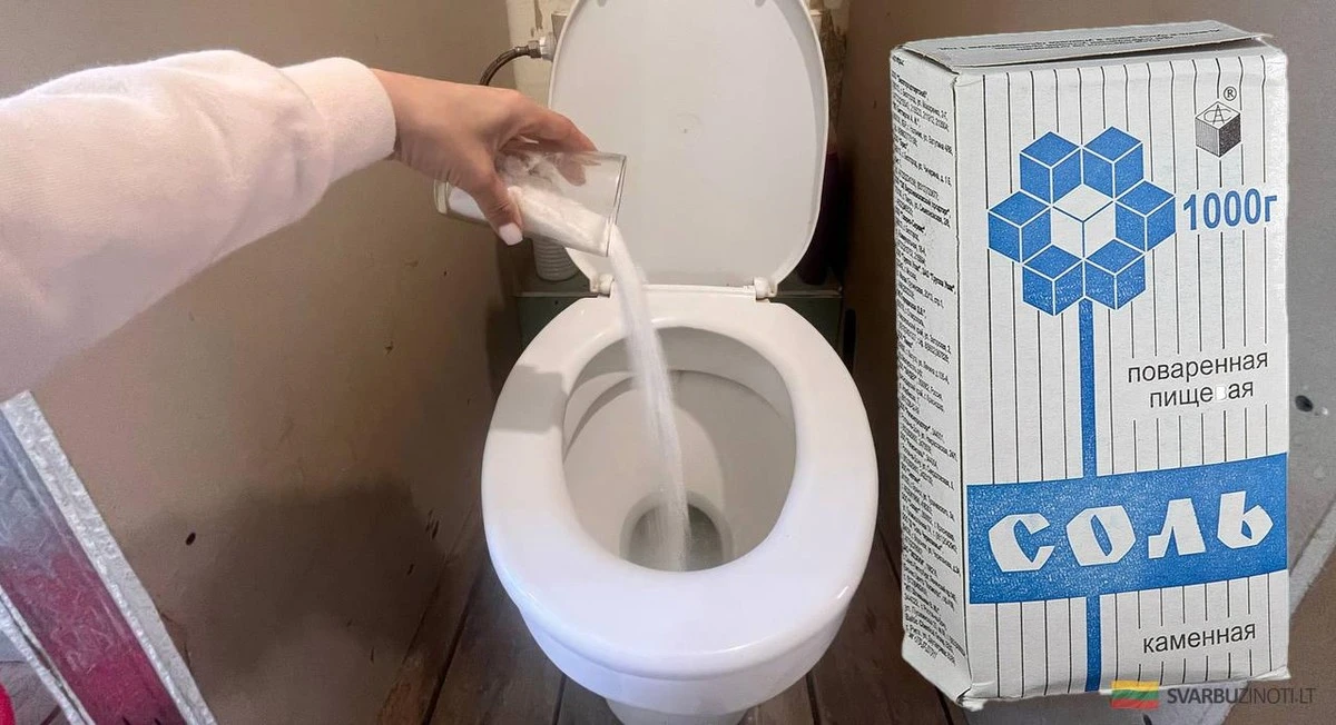 La sal en el inodoro: el truco casero que los fontaneros odian que sepas
