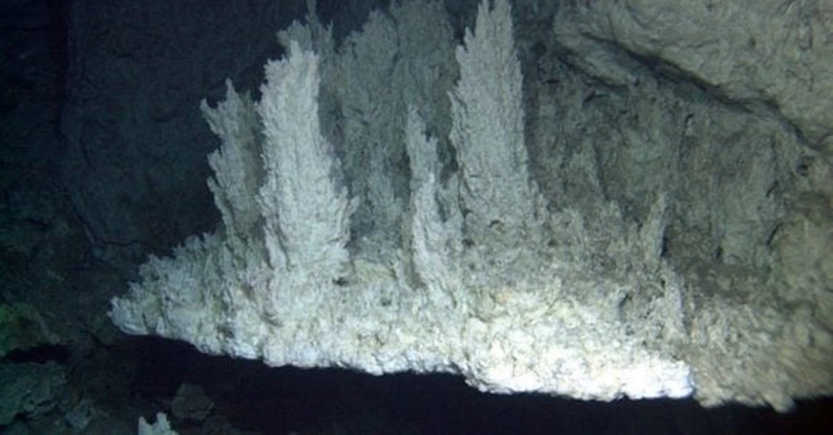 El "Ciudad Perdida" submarina: el hallazgo que podría reescribir nuestra historia vida