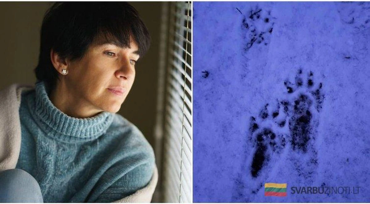 Huellas misteriosas en la nieve: qué animal salvaje visitó esta casa en Kaunas