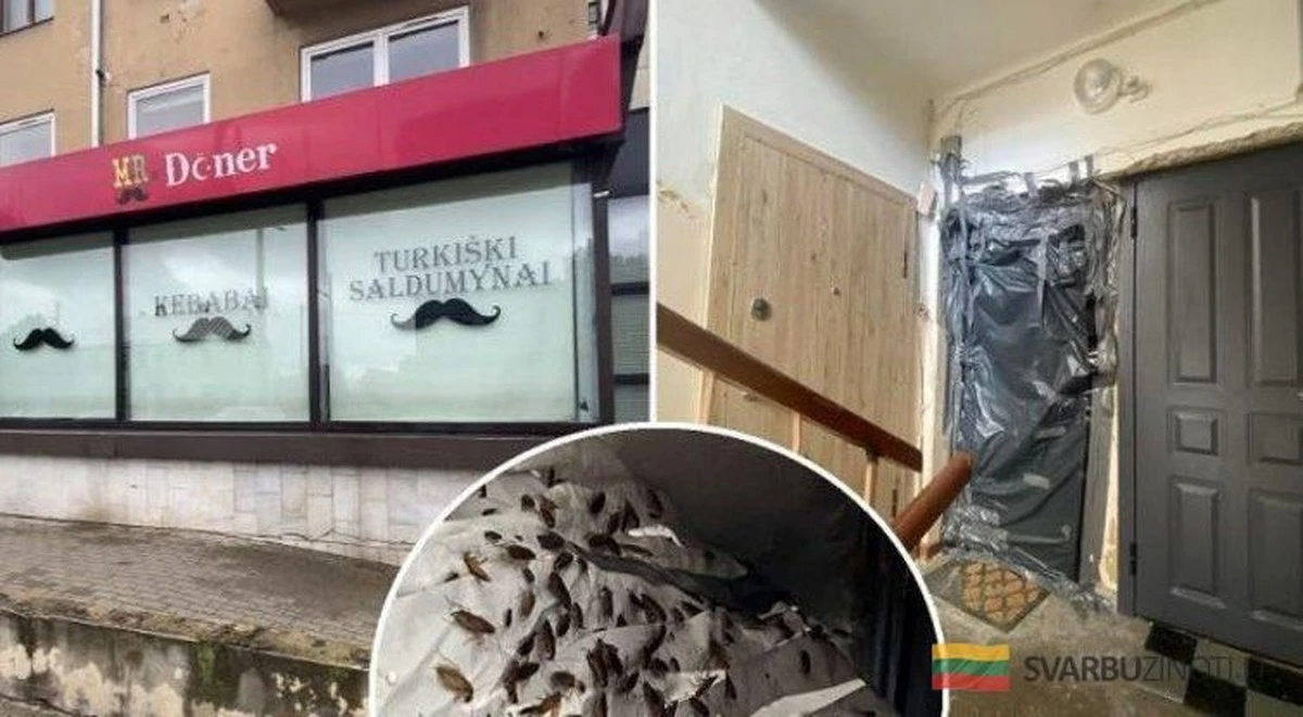 El apartamento en Kaunas que te hará querer vomitar: la pesadilla de los insectos en tu edificio