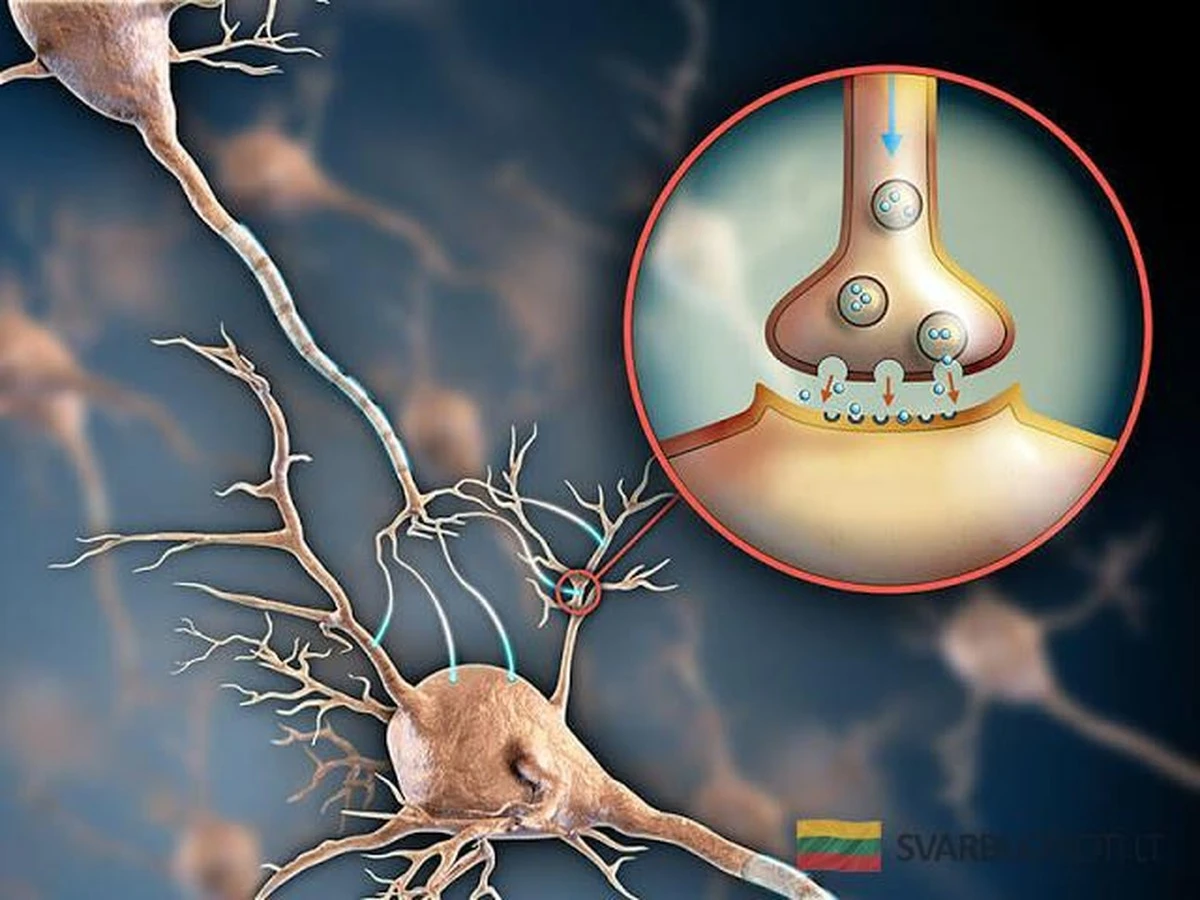 El secreto de la sonrisa: 3 formas sencillas de subir tu serotonina sin pastillas