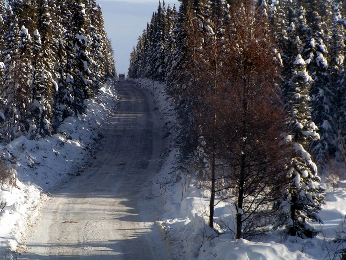 Nieve y hielo: dónde conseguir material para esparcir gratis - image 1