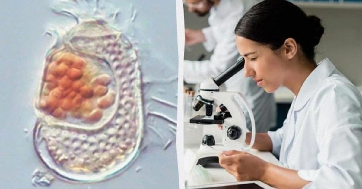 ¿Qué es eso que vive en el agua y no es ni virus ni bacteria?