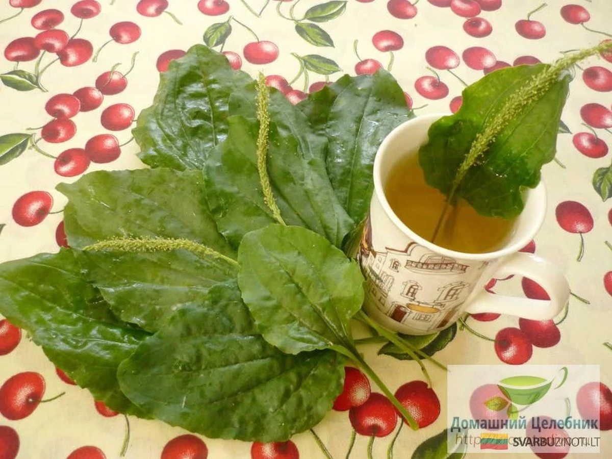 Los remedios de mi abuela Marija para la tos y el resfriado: ¡sus secretos siguen funcionando!