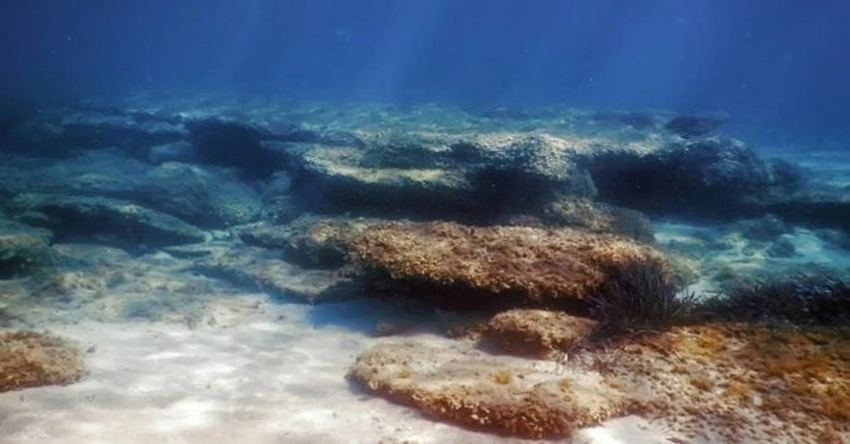 El misterio del océano: 10 años de observación revelan cambios alarmantes en el fondo marino