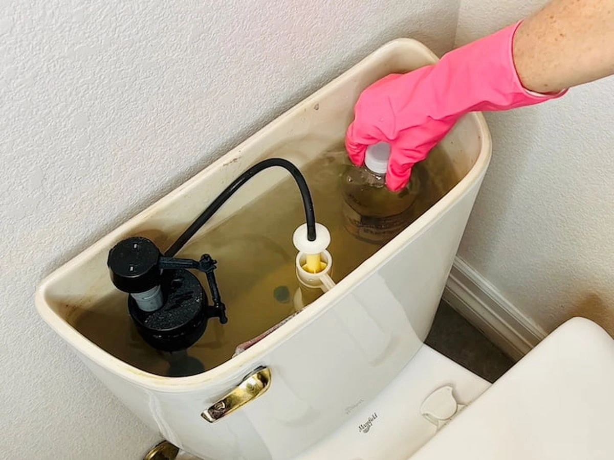 El truco viral que elimina el mal olor del inodoro en segundos: te sorprenderá - image 1