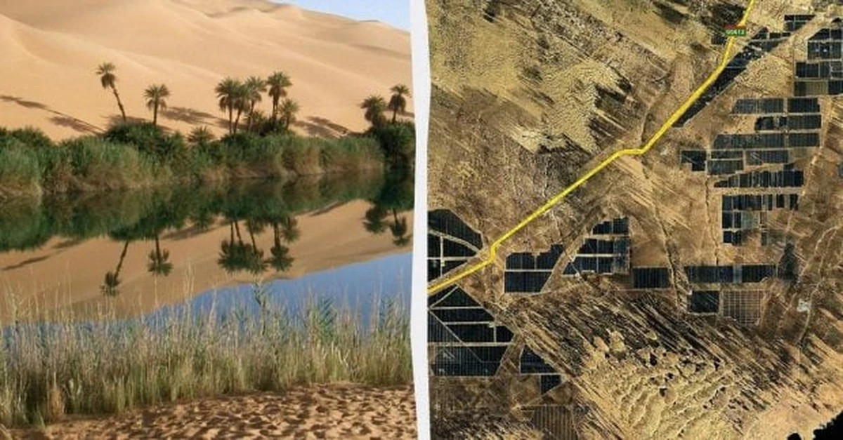 Cómo las gigantescas plantas solares están convirtiendo el desierto de China en un oasis verde