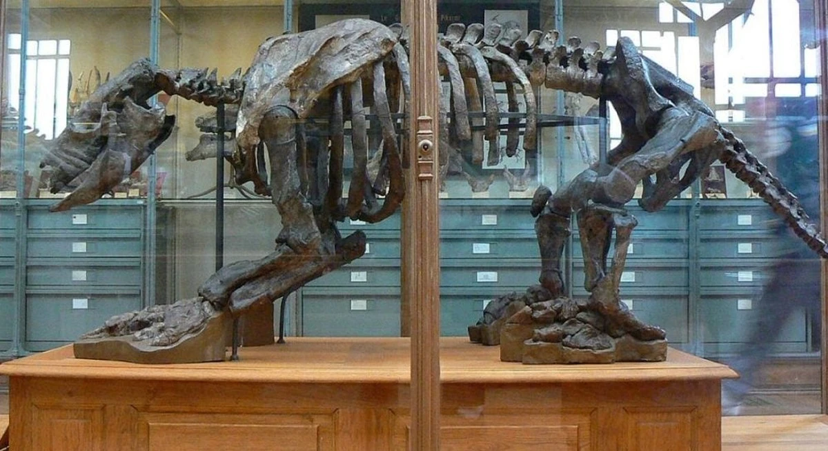 El secreto de Darwin: cómo científicos descifraron la mezcla que preservó sus hallazgos por 200 años