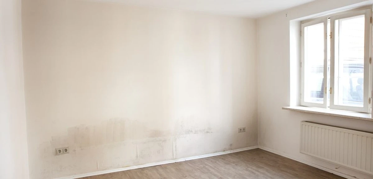 5 remedios caseros para dejar tus paredes blancas como nuevas - image 1