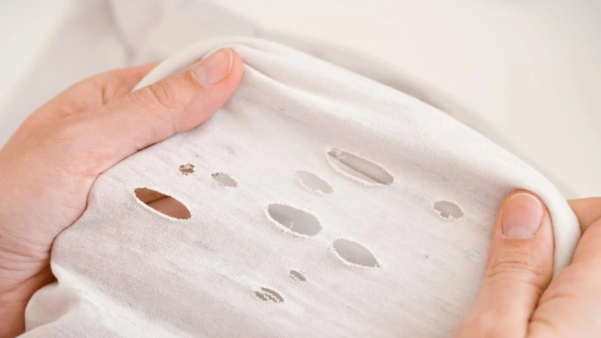 Mini agujeros en camisetas: La causa real y cómo evitarlos - image 1