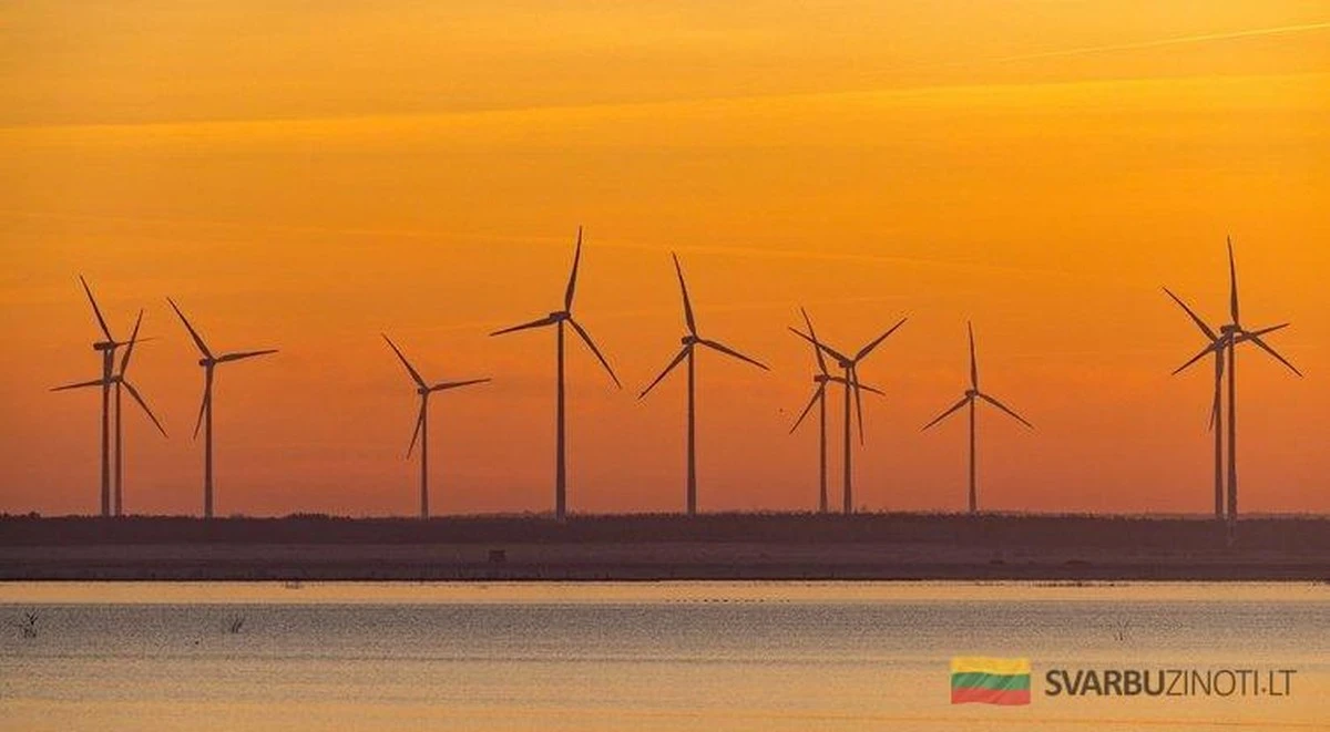 Producción récord de energía eólica en Lituania: el precio de la electricidad cae drásticamente