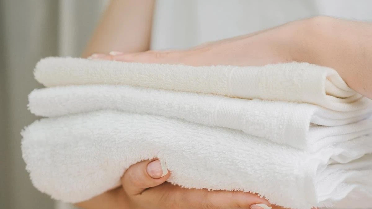 El misterio del borde de tu toalla: no es lo que crees - image 1