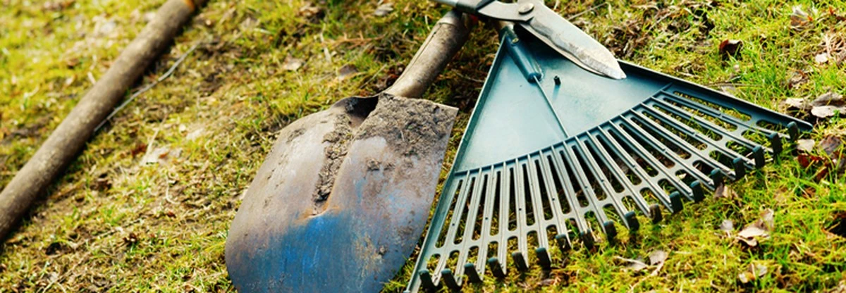 La herramienta de jardín de Tchibo que elimina malas hierbas en segundos - image 1