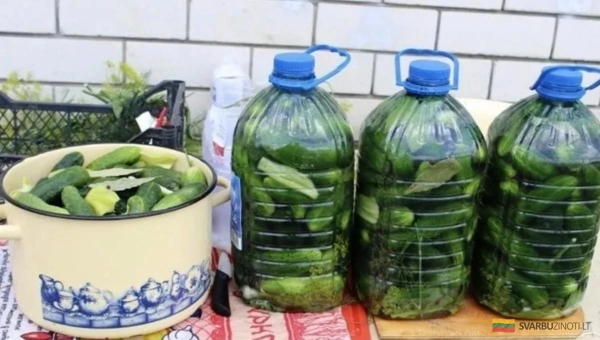 El secreto de la abuela: pepinos crujientes como los de antaño, pero en tu botella