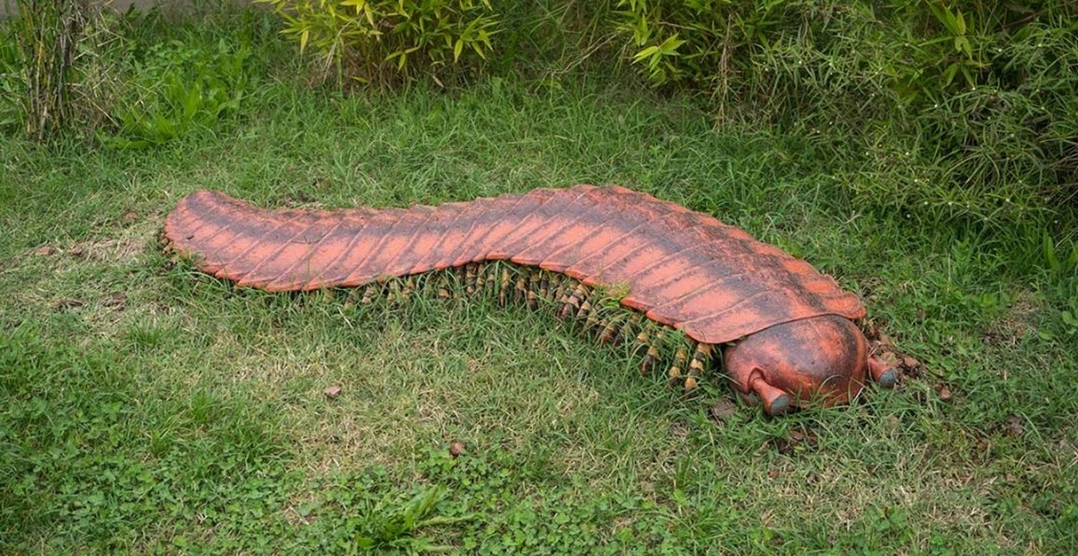 El gigante invertebrado que caminó por la Tierra: secretos de Arthropleura - image 1