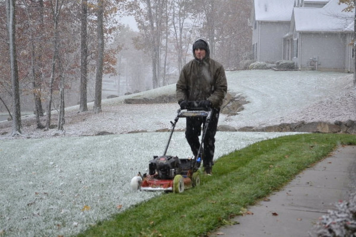 El momento exacto para el primer corte de césped tras el invierno: evitarás errores comunes - image 1
