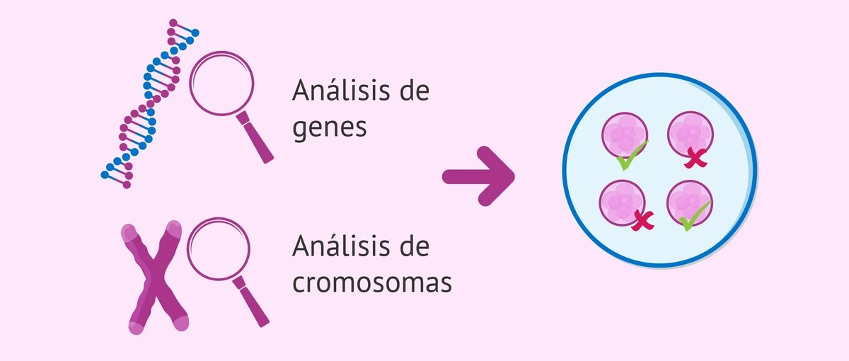 Abanico de genes: La historia de una familia lituana y la rara enfermedad de Fabry - image 1
