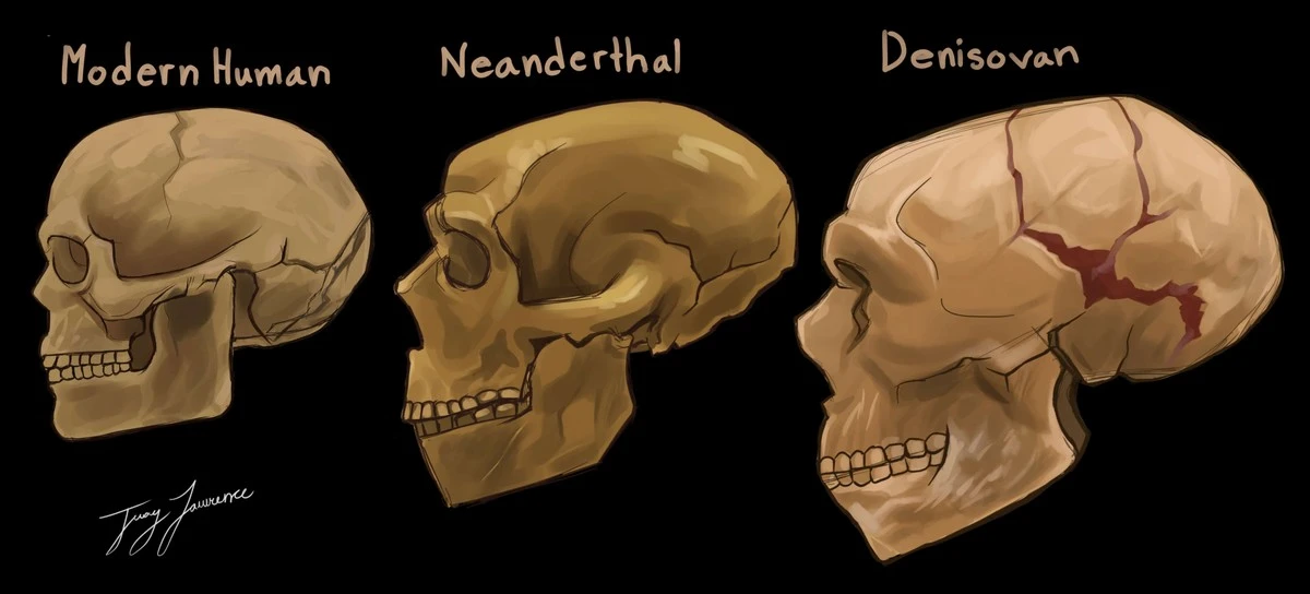 La inesperada revelación: ¿Cómo nos cruzamos con los neandertales? - image 1